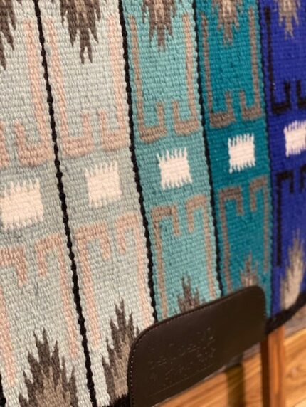 Saguaro Show Blanket